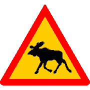 COCHES Y TR&Aacute;FICO